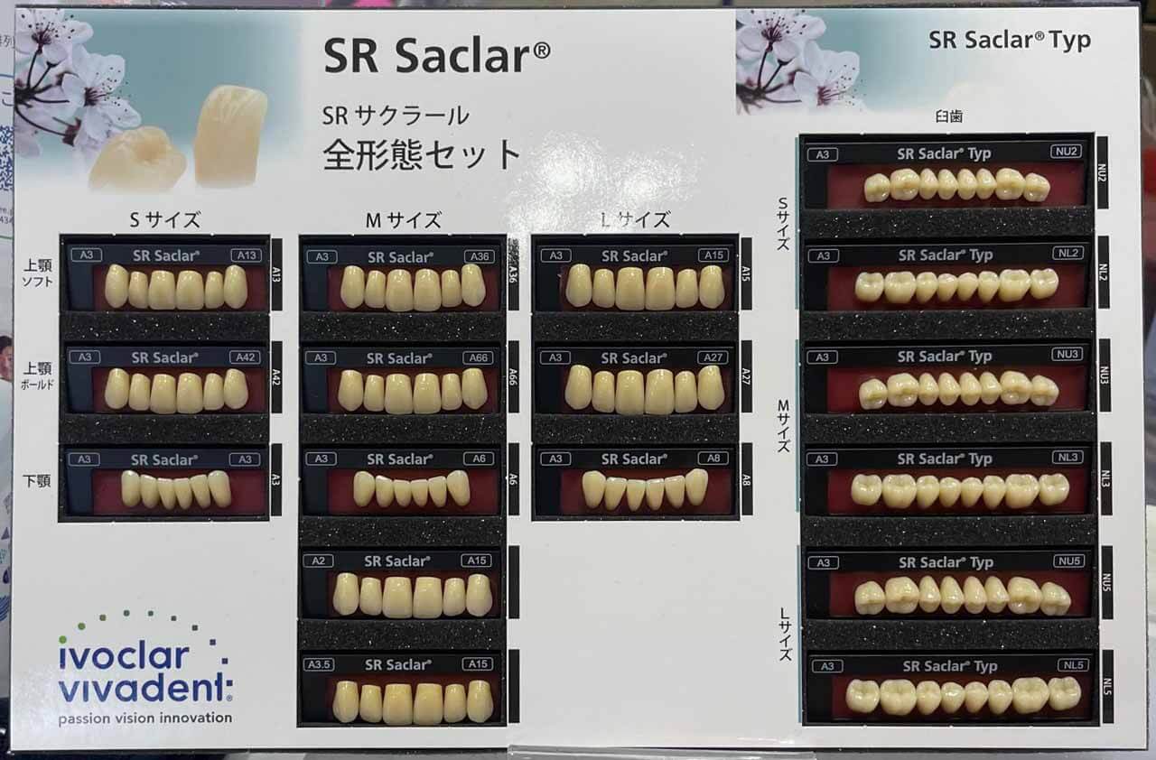 SRサクラール（保険用人工歯） - 清田区谷口歯科医院